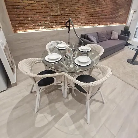 Apartment Barcelona,apartamento Con Terraza L'Hospitalet de Llobregat