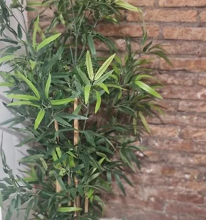 Barcelona,apartamento Con Terraza L'Hospitalet de Llobregat
