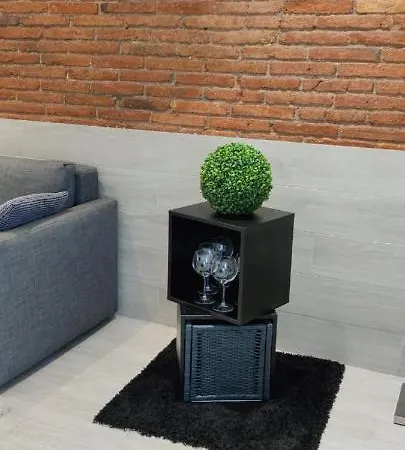 Barcelona,apartamento Con Terraza Apartment *