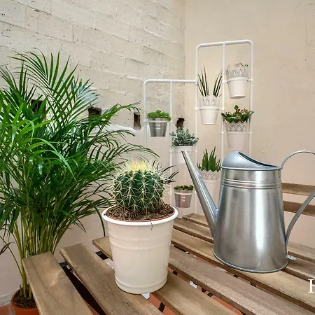 Hotelito Boutique Camp Nou 3* L'Hospitalet de Llobregat