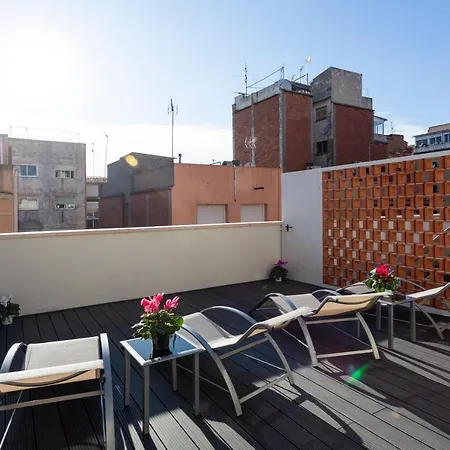 8 Lacus Duplex *