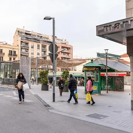 Caliu Barcelona - Camp Nou * L'Hospitalet de Llobregat