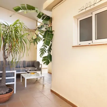Barcelona Sunny Terrace Homestay