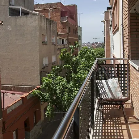 Apartment Tendency Fira *