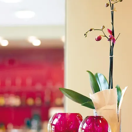 Apartment Hesperia Fira *
